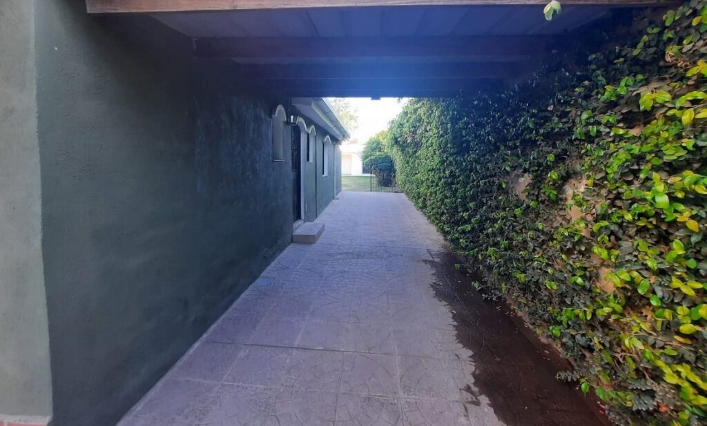 diseño sin título 20260218 205820 0000